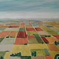 Plains